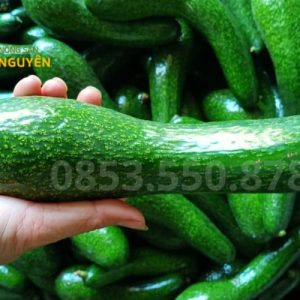 Chào mừng đến với Vựa Nông Sản Tây Nguyên Vựa Nông Sản Tây Nguyên