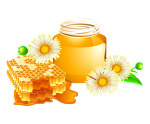 Vựa Nông Sản Tây Nguyên