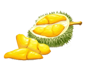 Vựa Nông Sản Tây Nguyên