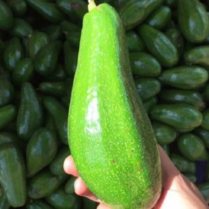 Chào mừng đến với Vựa Nông Sản Tây Nguyên Vựa Nông Sản Tây Nguyên