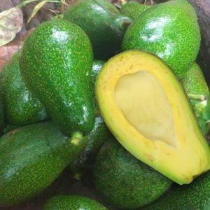 Chào mừng đến với Vựa Nông Sản Tây Nguyên Vựa Nông Sản Tây Nguyên