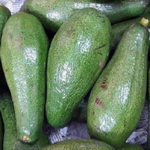 Chào mừng đến với Vựa Nông Sản Tây Nguyên bán bơ năm lóng daklak giá sỉ