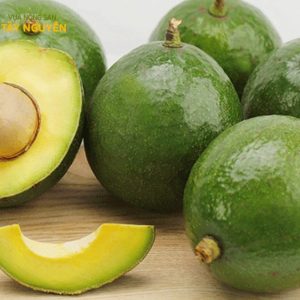 Chào mừng đến với Vựa Nông Sản Tây Nguyên Vựa Nông Sản Tây Nguyên