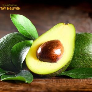 Vựa Nông Sản Tây Nguyên