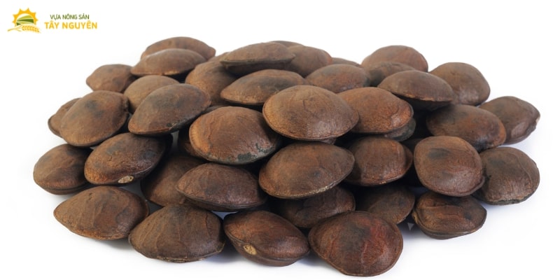 Chào mừng đến với Vựa Nông Sản Tây Nguyên Vựa Nông Sản Tây Nguyên