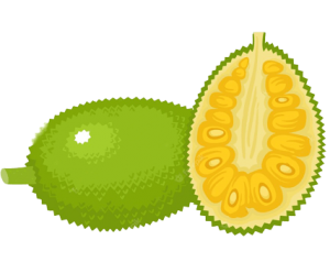 Vựa Nông Sản Tây Nguyên