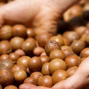 Chào mừng đến với Vựa Nông Sản Tây Nguyên hạt macca bao nhiêu tiền 1kg