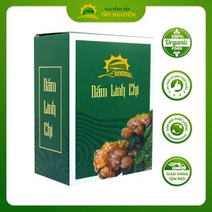 nấm linh chi khô hộp 100gr (4)