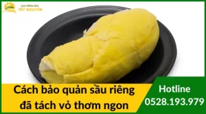 cách bảo quản sầu riêng đã tách vỏ (1)_3