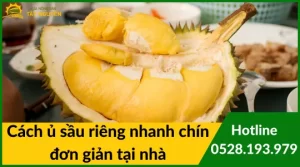 cách làm sầu riêng nhanh chín (1)_5
