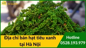 Vựa Nông Sản Tây Nguyên