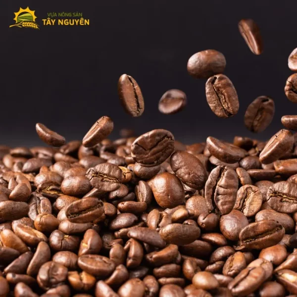 hạt cà phê arabica