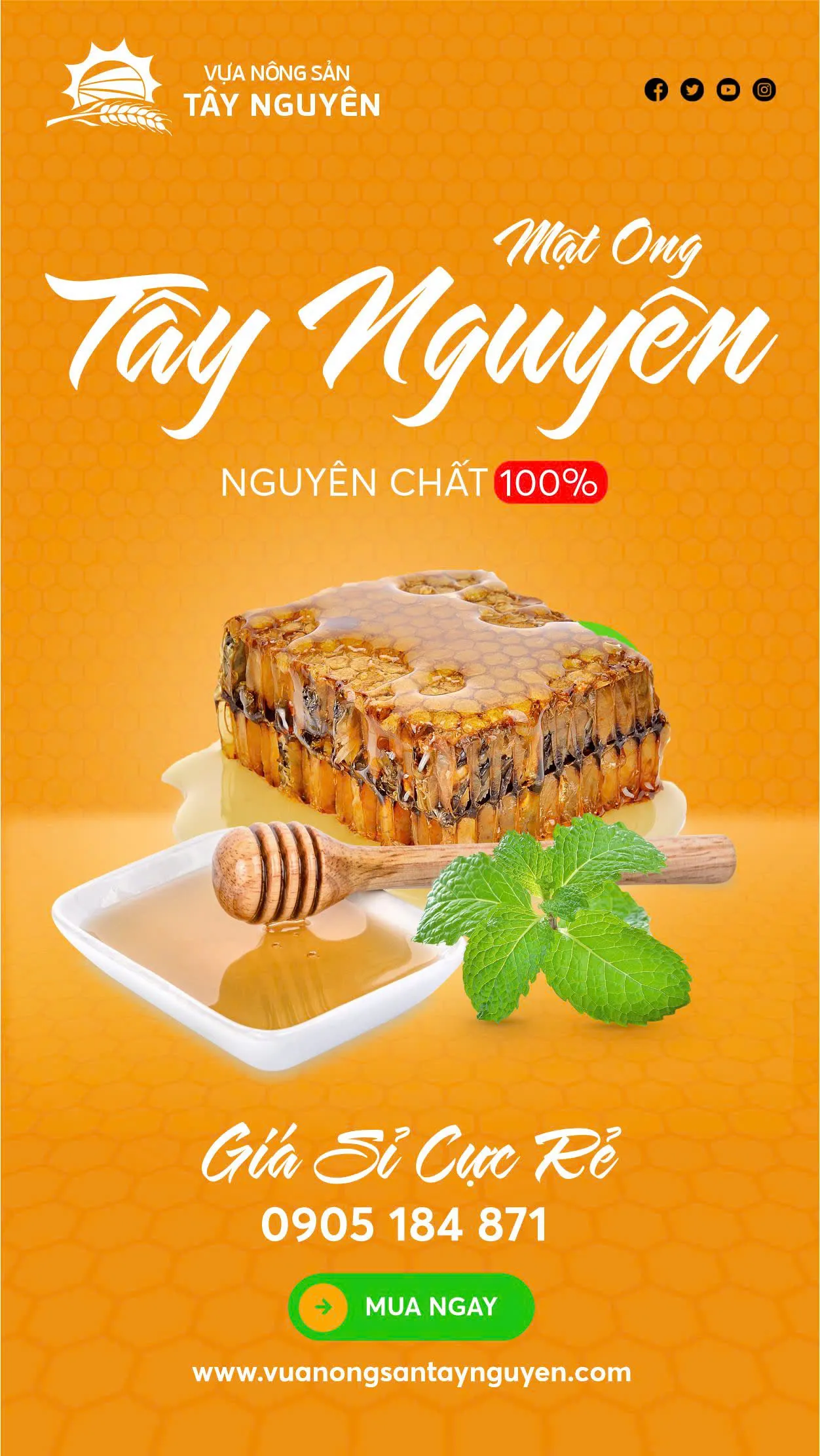 địa chỉ bán mật ong rừng tây nguyên